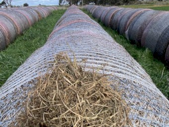 Vetch Hay - 100 rolls