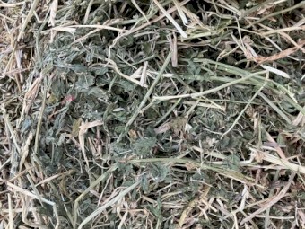 Lucerne and barley hay Dec 2022 biodynamic grown 