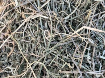 Lucerne and barley hay Dec 2022 biodynamic grown 