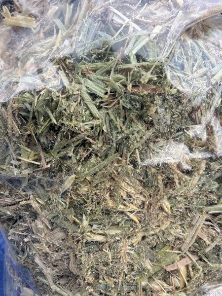 Barley Hay 2023