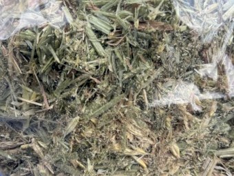 Barley Hay 2023