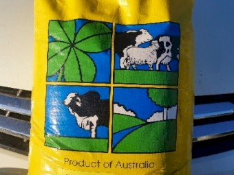 SAINTLY CL CANOLA SEED