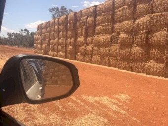 600mt Pea Straw 8x4x3 Bales