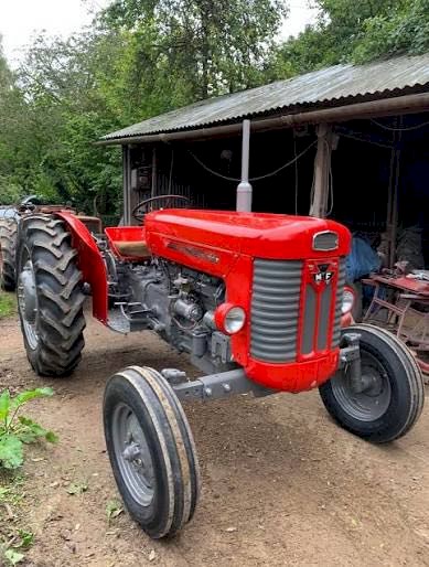 WANTED Massey Ferguson 65
