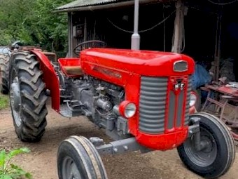 WANTED Massey Ferguson 65