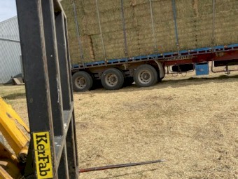 1st cut lucerne hay 