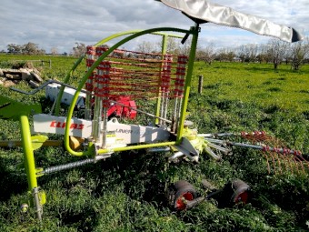 Claas 420 Liner Hay Rake