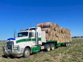 Mitchell grass hay