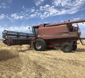 1997 Case IH 2166 Header with Front & Trailer