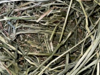 Lucerne and Rye Hay 4x4 Rolls