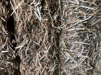 60mt Vetch Hay Baled 2019