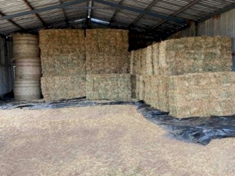 Oaten hay
