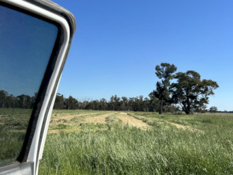 250mt Oaten and Ryegrass Hay 8x4x3 Bales (New Season)