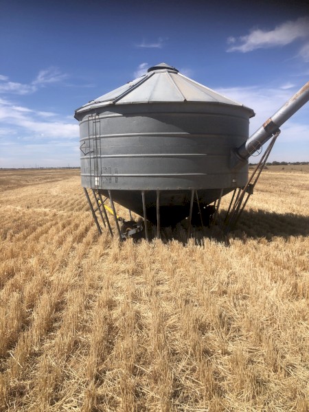 Field bin with auger