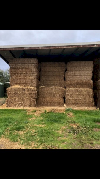 Vetch Hay 540kg 8x4x3 Bales