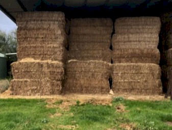 Vetch Hay 540kg 8x4x3 Bales