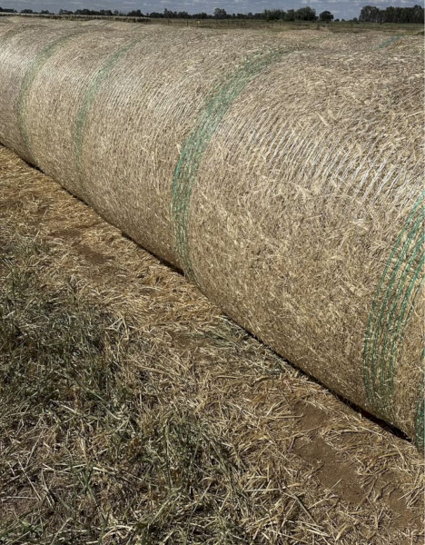 Mixed Hay Round Bales and Lucerne Small Squares
