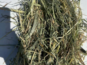 Mixed Hay Round Bales and Lucerne Small Squares
