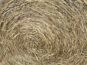 Oaten/Rye pasture rolls hay