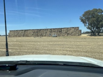 300mt Wheaten Hay 8x4x3 Bales