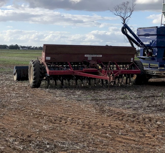 International A61 Seed Drill