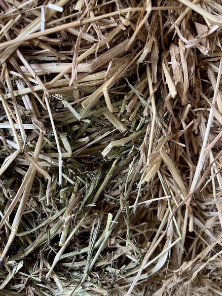 170mt Ryegrass/Clover Hay 8x4x3 Bales
