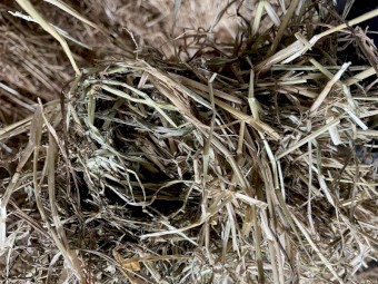 170mt Ryegrass/Clover Hay 8x4x3 Bales