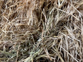 170mt Ryegrass/Clover Hay 8x4x3 Bales