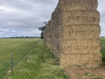 200 x Barley Straw 420kg 8x4x3 bales