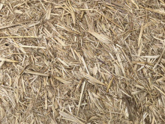 200 x Barley Straw 420kg 8x4x3 bales