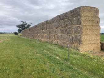 200 x Barley Straw 420kg 8x4x3 bales