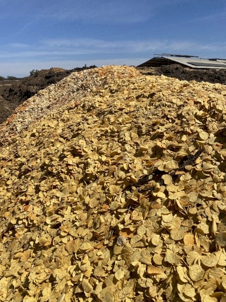 Corn Chips for Stockfeed
