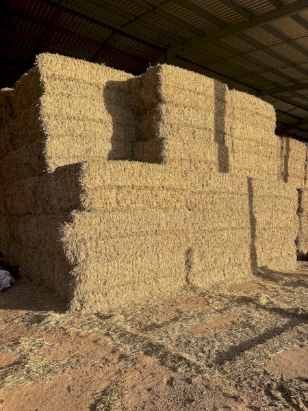 90mt Barley Straw 480kg 8x4x3 Bales