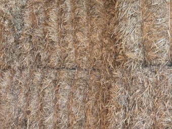 90mt Barley Straw 480kg 8x4x3 Bales