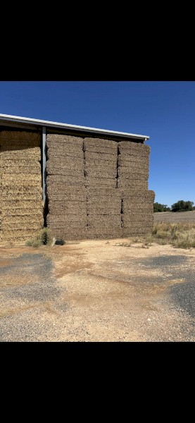 150mt Vetch Hay 600kg 8x4x3 Bales