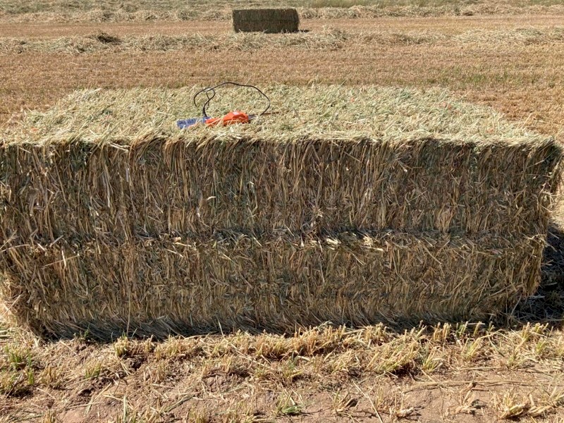 Oaten Hay 8x4x3 Bales