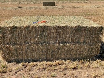 Oaten Hay 8x4x3 Bales