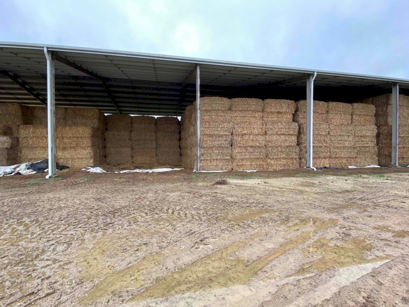 Quality Oaten Hay