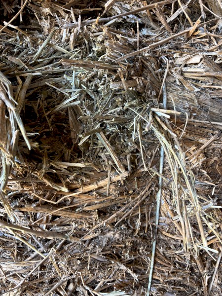 100mt Canola Hay 8x4x3 Bales