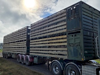 1998 Byrne 4x2 B Double Stock Crates