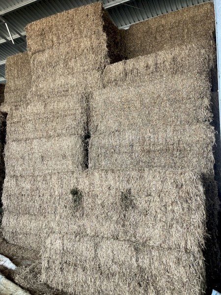 Vetch hay