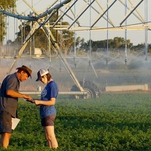 Australian Fodder Industry Association - Become a AFIA member today