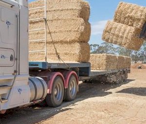 Australian Fodder Industry Association - Become a AFIA member today