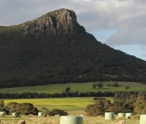 Australian Fodder Industry Association - Become a AFIA member today