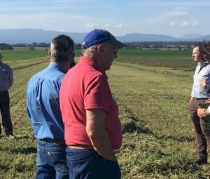 Australian Fodder Industry Association - Become a AFIA member today