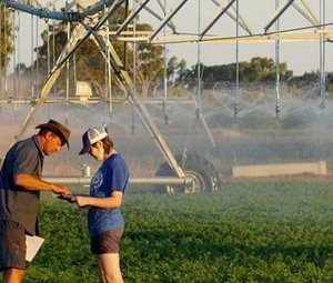 Australian Fodder Industry Association - Become a AFIA member today