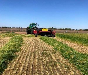 C. Pearce Contracting - Cut - Rake - Steam - Bale  - Stack - Cart 