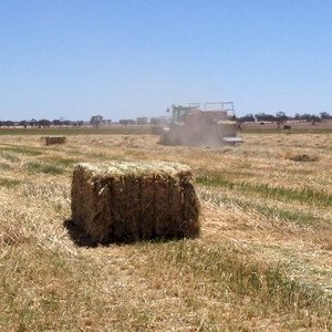 Warrick Hay & Grain - Hay, Grain & Storage