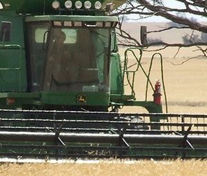 Warrick Hay & Grain - Hay, Grain & Storage